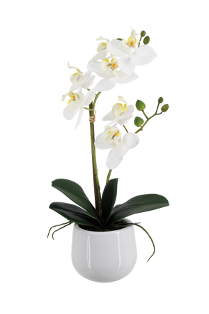 Künstliche Orchidee - Mian | 45 cm
