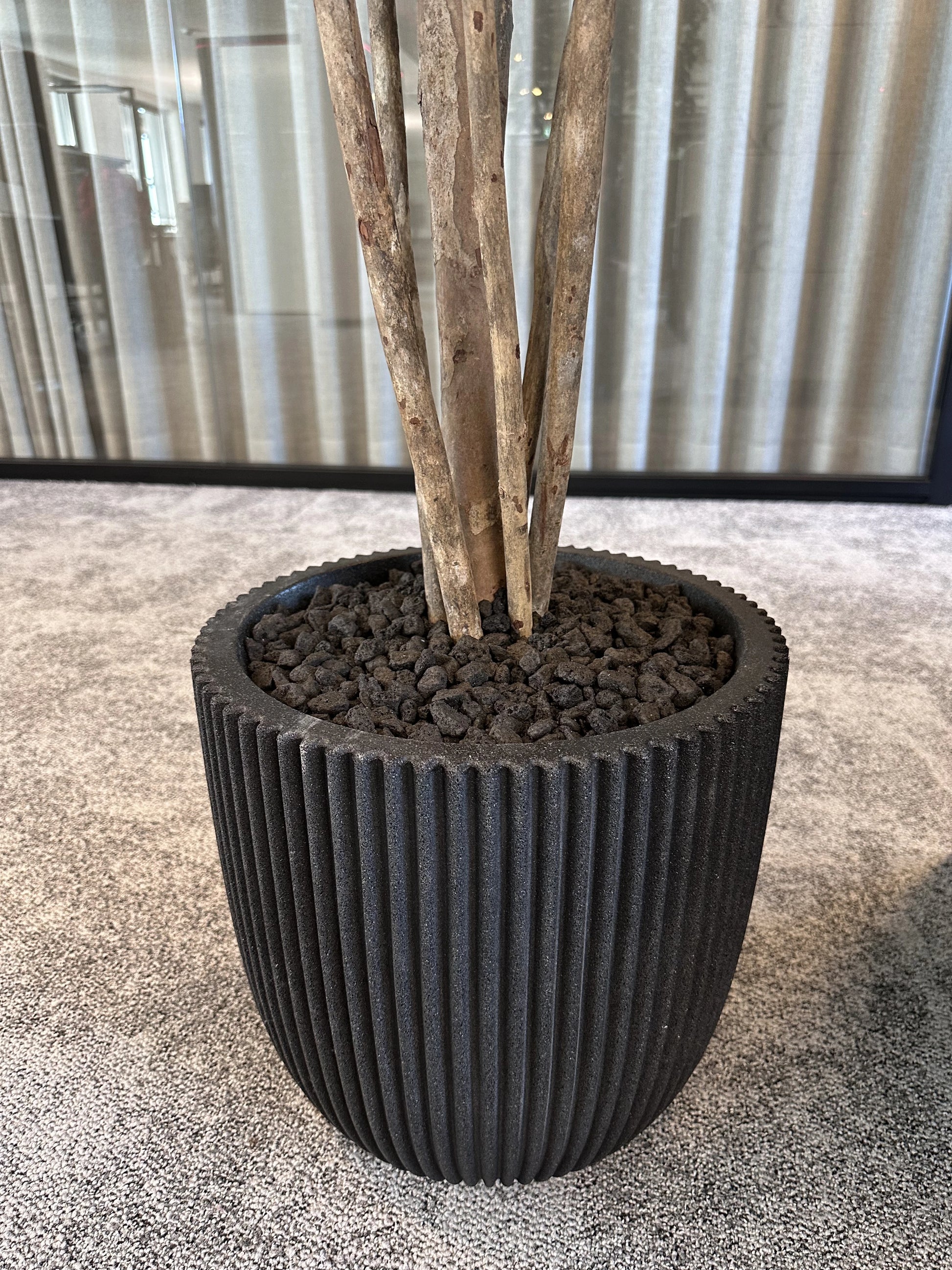 Künstlicher Ficus Retusa - Caelior, 180 cm, Kunstbaum von aplanta, mit Echtholzstamm, inkl. Startertopf, in Grün, für drinnen
