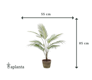 Künstliche Bergpalme - Josef | 85 cm