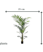 Künstliche Kentia Palme - Nathalie | 210 cm