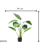 Künstliche Strelitzia - Carl | 120 cm