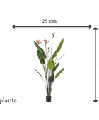 Künstliche Strelitzia - Christian | 150 cm