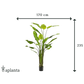 Künstliche Strelitzia - Colin | 235 cm