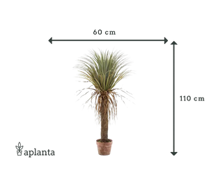 Künstliche Yucca Palme - Kristina | 110 cm