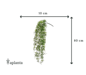 Künstlicher Hänge-Farn - Katharina | 80 cm, Steckpflanze