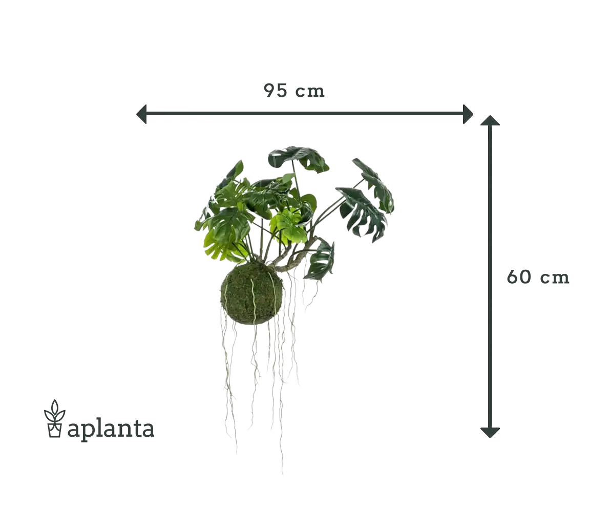 Künstlicher Hänge Monstera Moos Ball - Julian | 60 cm