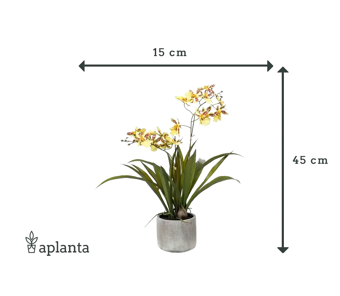 Künstliche Orchidee - Lilli | 45 cm