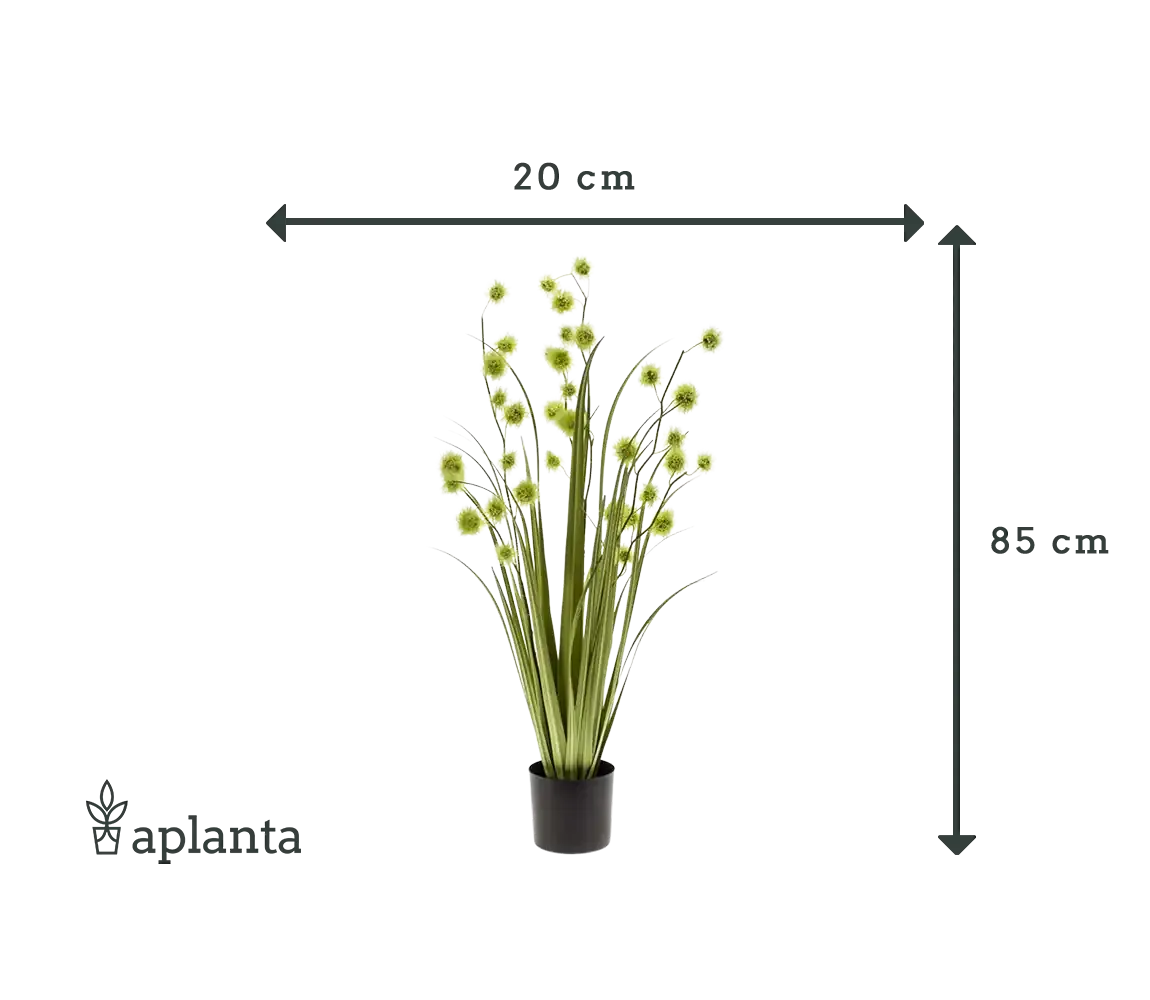 Künstliches Pompom Gras - Ibrahim | 85 cm