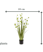 Künstliches Pompom Gras - Ibrahim | 85 cm