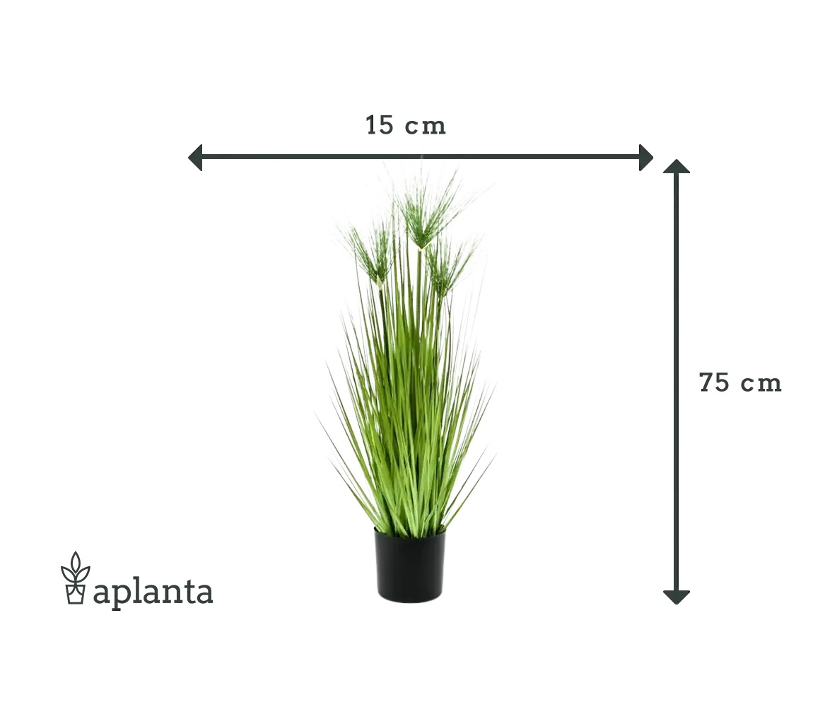 Künstliches Zypergras - Kimberly | 75 cm