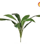 Künstliche Cordyline - Doris | 74 cm