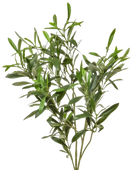 Künstliche Olivenzweig - Ernst | 90 cm