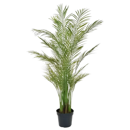 Künstliche Areca Palme - Amelie, 180 cm, Kunstbaum von aplanta, UV-beständig, feuerhemmend, B1-zertifiziert, in Grün