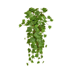 Künstlicher Hänge-Efeu - Michael | 55 cm