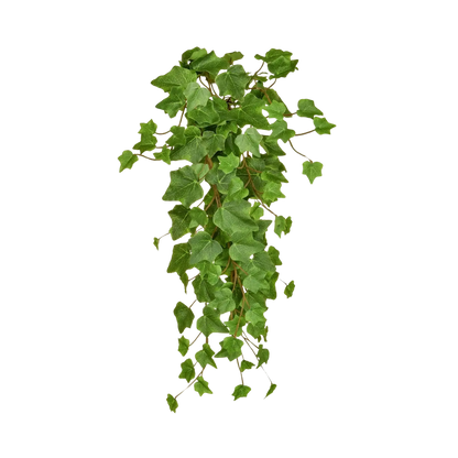 Künstlicher Hänge-Efeu - Michael | 55 cm