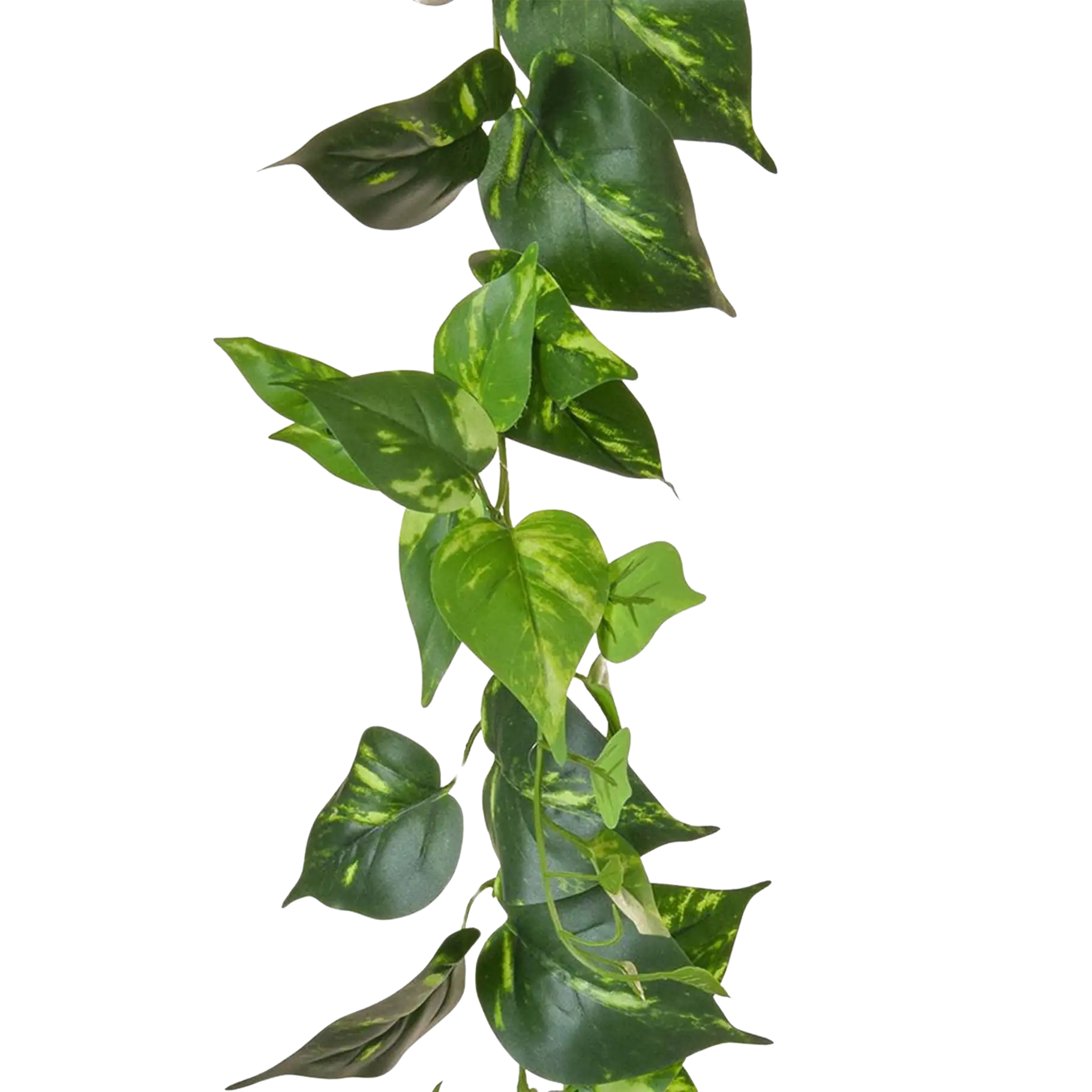 Künstliche Pothos Girlande - Christian | 220 cm