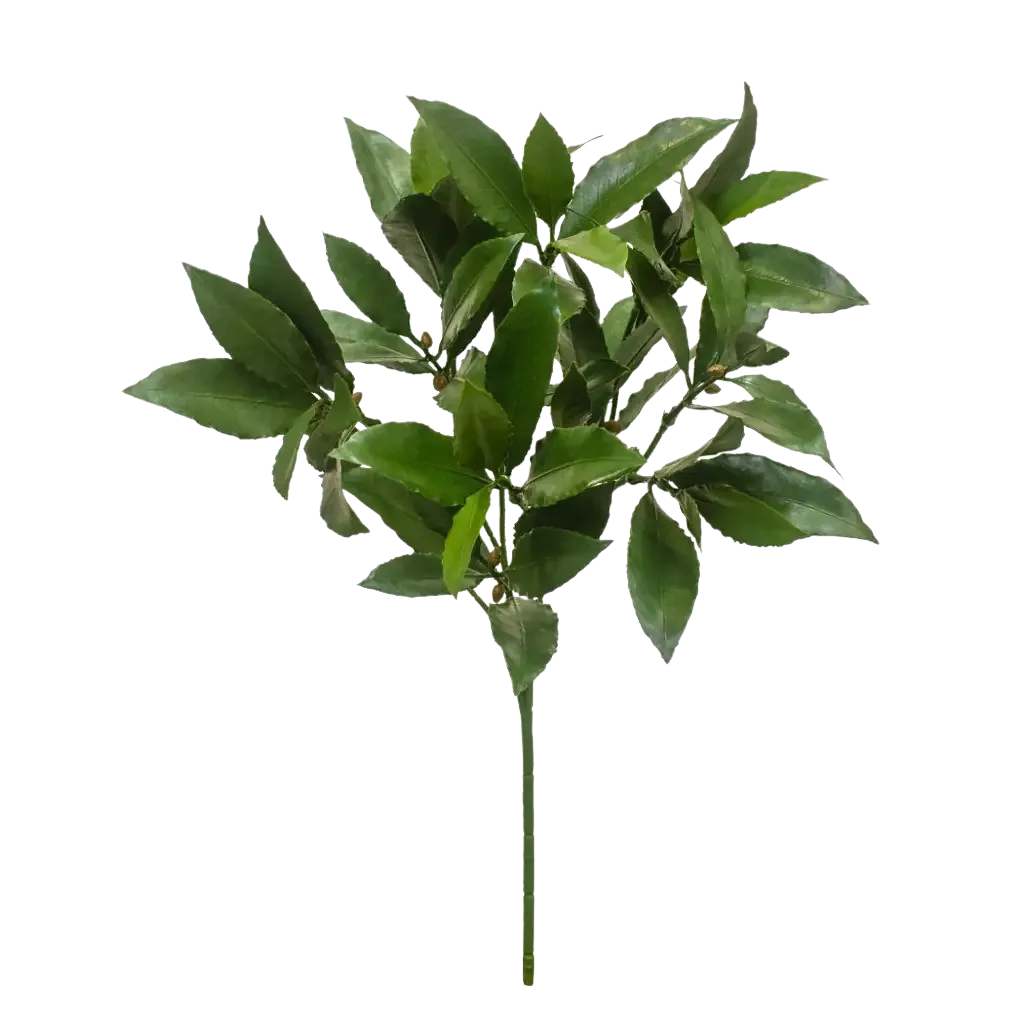 Künstliche Lorbeerzweig - Eugen | 51 cm