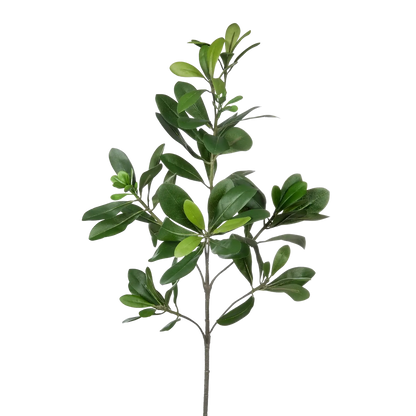 Künstlicher Pittosporum - Regina, 56 cm, Kunstpflanze von aplanta, feuerhemmend, B1-zertifiziert, Steckpflanze, in Grün