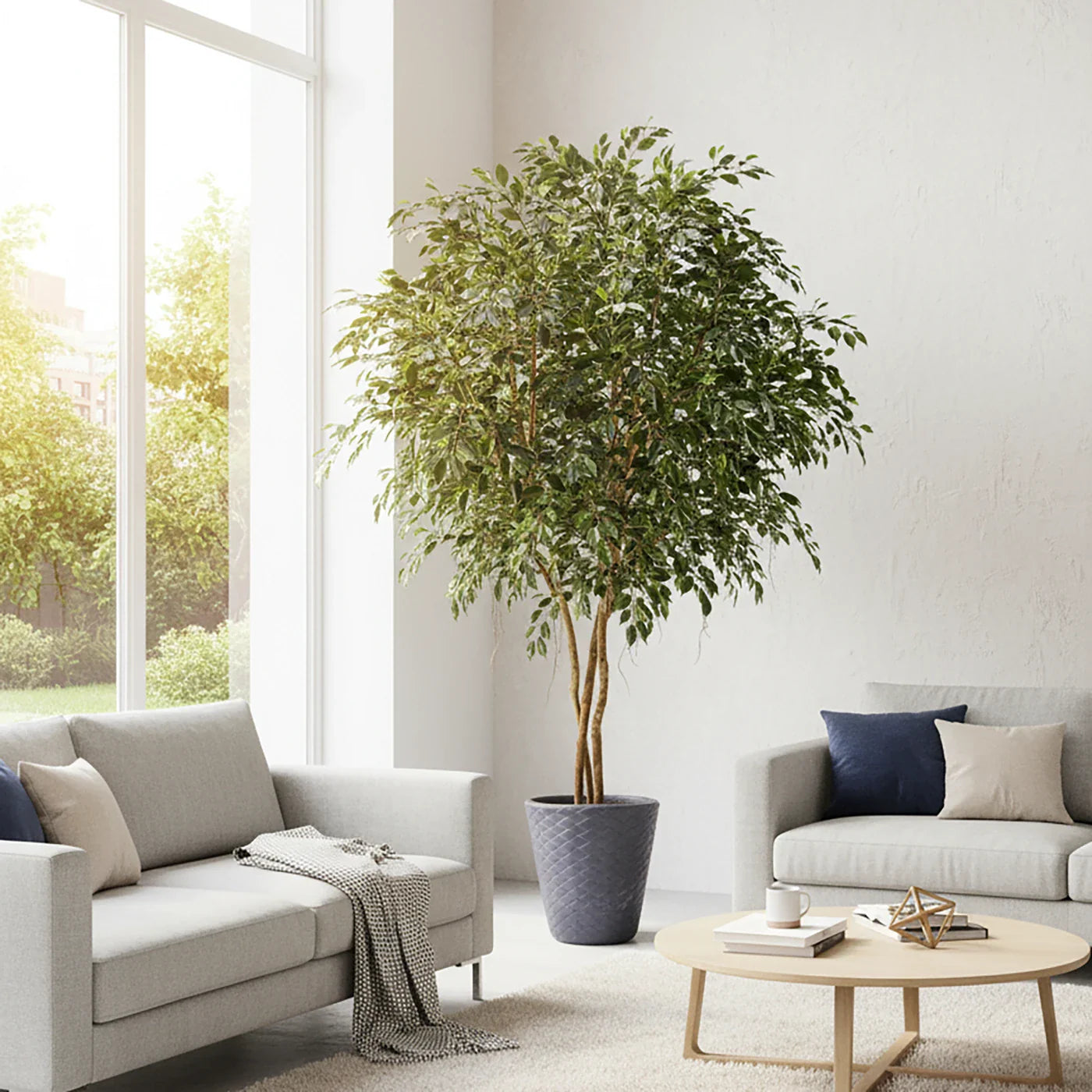 Künstlicher Ficus - Timmi | 300 cm