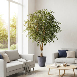 Künstlicher Ficus - Timmi | 300 cm