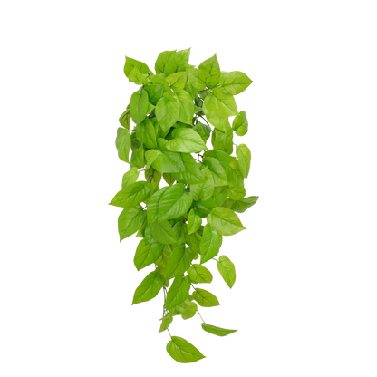 Künstlicher Pothos - Sky, 83 cm, Kunstpflanze von aplanta, feuerhemmend, B1-zertifiziert, Steckpflanze, in Grün, für drinnen