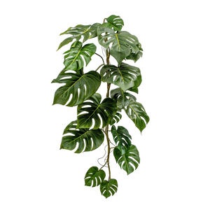 Künstliche Monstera Girlande - Sita | 125 cm