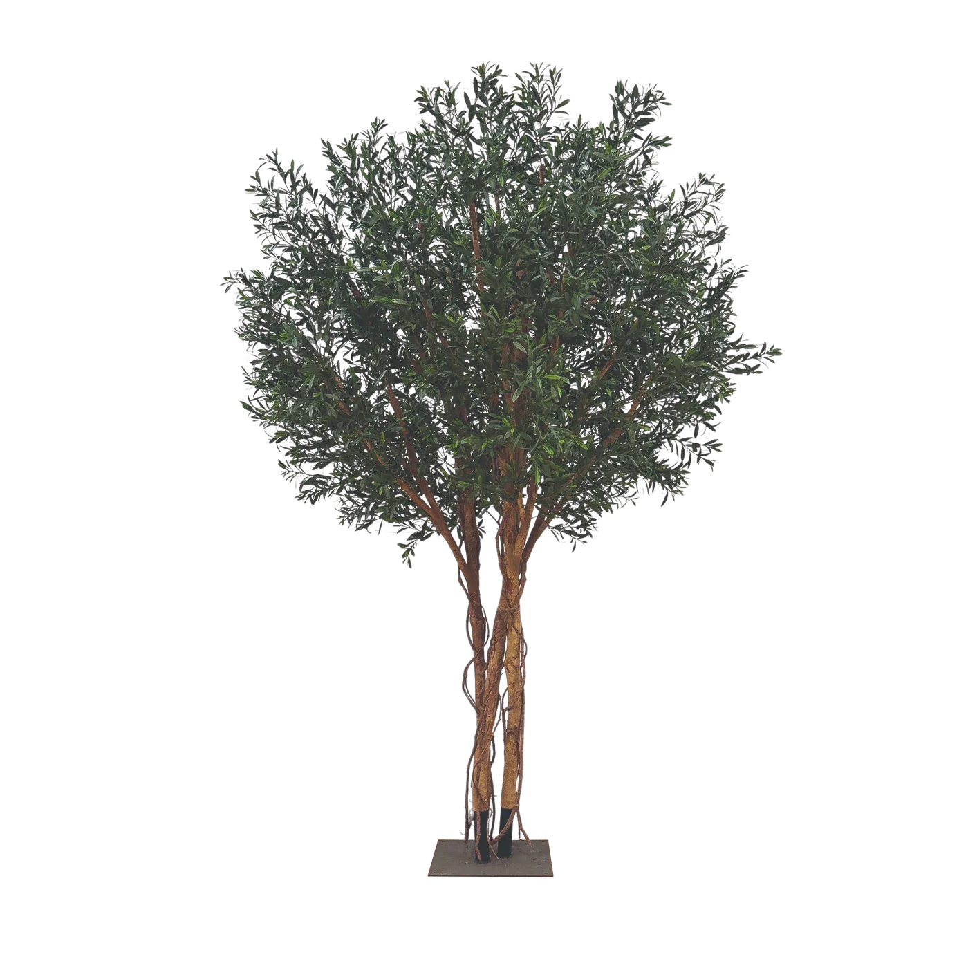 Künstlicher Olivenbaum - Rogie | 300 cm