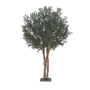 Künstlicher Olivenbaum - Rogie | 300 cm