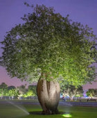 Silk Floss Tree