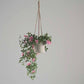 Künstliche Prunkwinde – Themistokles | 80 cm