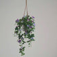 Künstliche Prunkwinde – Lysandra | 80 cm