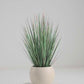 Künstliches Gras – Odalinde | 60 cm