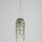 Künstliche Hänge-Eukalyptus – Philemon | 95 cm