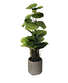 Künstliche Philodendron - Phoebe | 80 cm