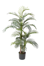 Künstliche Areca Palme - Bobby, 170 cm, Kunstbaum von aplanta, im schwarzen Topf, in Natur, für drinnen