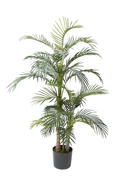 Künstliche Areca Palme - Bobby, 170 cm, Kunstbaum von aplanta, im schwarzen Topf, in Natur, für drinnen