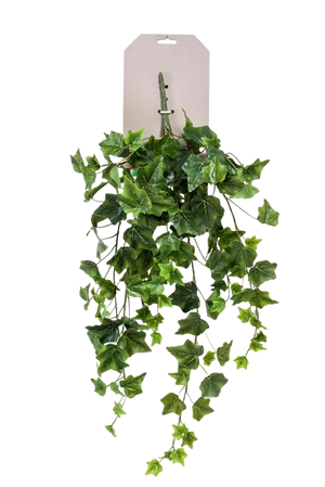 Künstliche Hänge-Efeu - Richard auf transparentem Hintergrund mit echt wirkenden Kunstblättern. Diese Kunstpflanze gehört zur Gattung/Familie der "Efeu" bzw. "Kunst-Efeu".