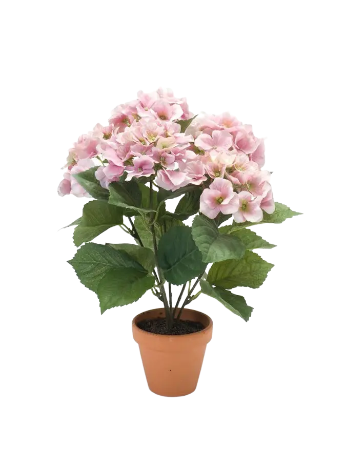 Künstliche Hortensie - Mattis auf transparentem Hintergrund mit echt wirkenden Kunstblättern. Diese Kunstpflanze gehört zur Gattung/Familie der "Hortensien" bzw. "Kunst-Hortensien".