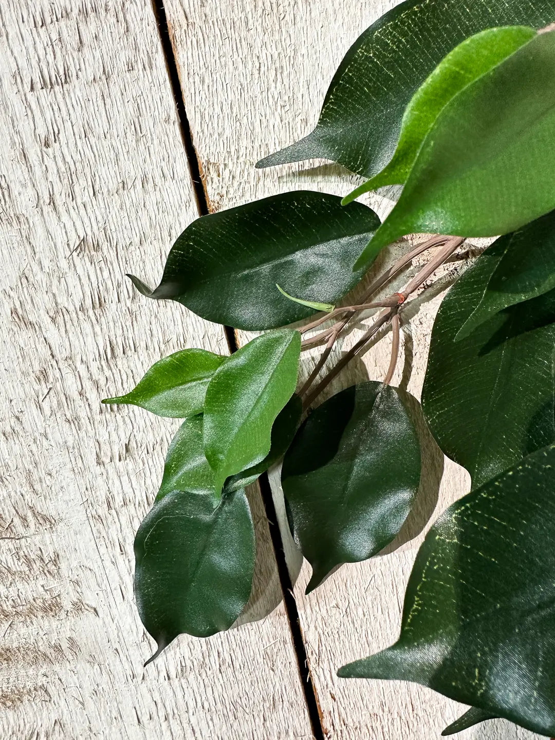 Künstlicher Feigen-Zweig - Georgia | Kunstpflanze von aplanta