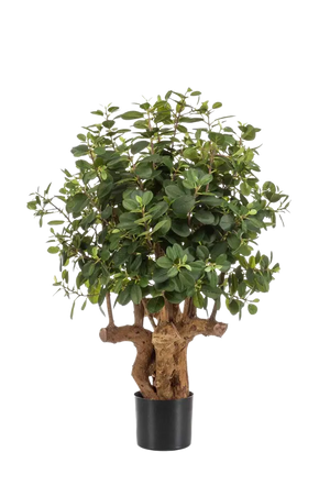 Künstlicher Ficus Panda Baum - Arne