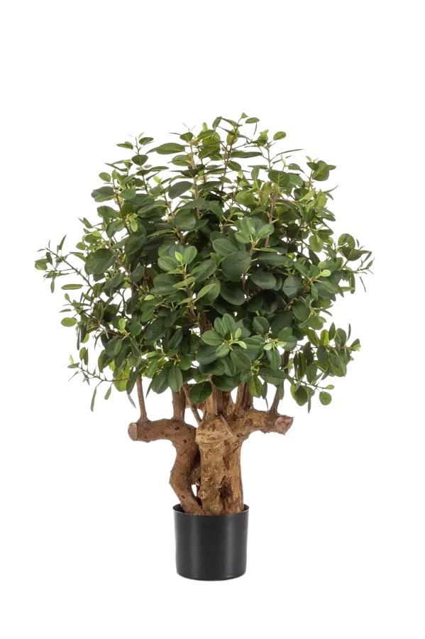Künstlicher Ficus Panda Baum - Arne