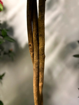 Künstlicher Kamelienbaum - Pina | 130 cm | Kunstbaum von aplanta