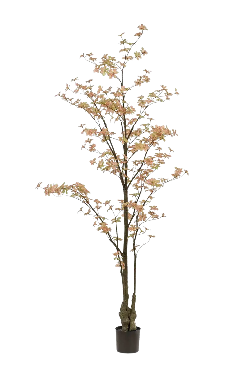 Künstlicher Tropaeolum Baum - Carmen auf transparentem Hintergrund mit echt wirkenden Kunstblättern in natürlicher Anordnung. Künstlicher Tropaeolum Baum - Carmen hat die Farbe Pfirsich und ist 210 cm hoch. | aplanta Kunstpflanzen