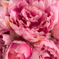 Künstliche Pfingstrose - Franzi, 30 cm, Kunstblume von aplanta, in Rosa, für drinnen