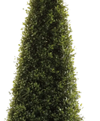 Künstliche Buchsbaumpyramide - Lucy | 135 cm auf transparentem Hintergrund, als Ausschnitt fotografiert, damit die Details der Kunstpflanze bzw. des Kunstbaums noch deutlicher zu erkennen sind.