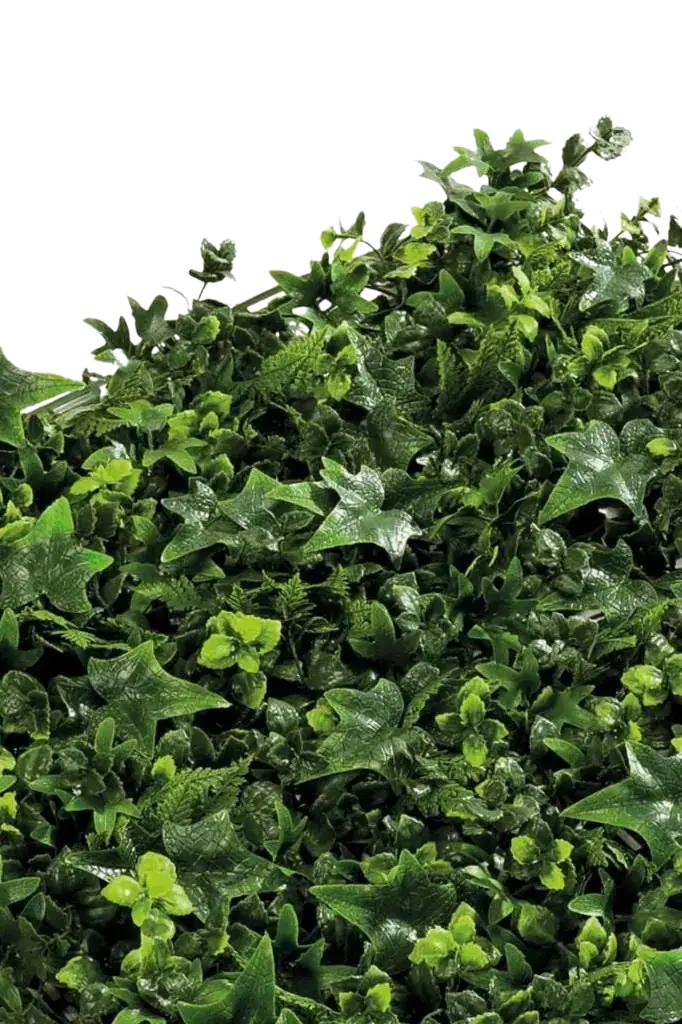 Künstliche Pflanzenmatte - Noah | 5 cm auf transparentem Hintergrund, als Ausschnitt fotografiert, damit die Details der Kunstpflanze bzw. des Kunstbaums noch deutlicher zu erkennen sind.