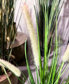 Künstlicher Fuchsschwanz - Hennes | 53 cm | Kunstpflanze von aplanta