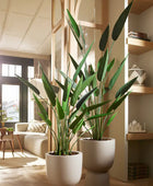 Künstliche Helikonie - Frida | 125 cm