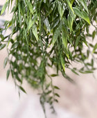 Künstlicher Hänge-Bambus - Kiana | 50 cm | Kunstpflanze von aplanta