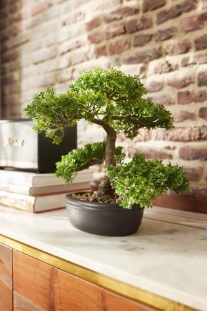 Künstlicher Ficus Bonsai - Yui | 32 cm